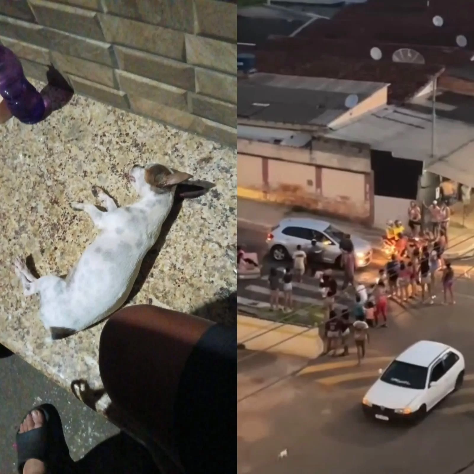 Bloqueio de rua durante carreata em Alfenas termina com morte de cachorro e ameaça a motorista