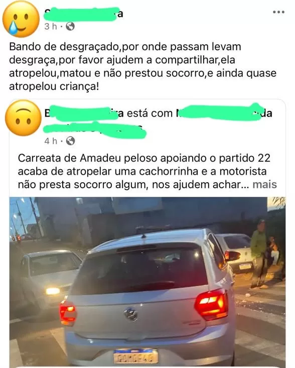 Bloqueio de rua durante carreata em Alfenas termina com morte de cachorro e ameaça a motorista