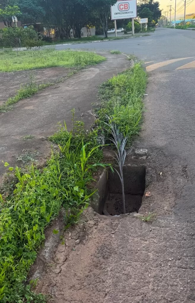 Distrito Industrial de Alfenas enfrenta buracos, mato alto e falta de segurança