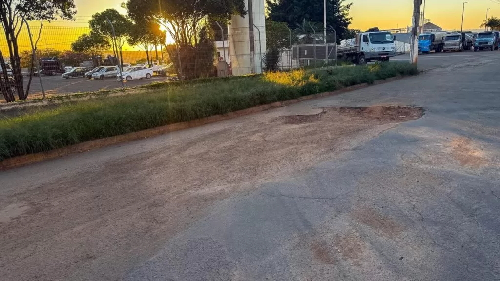 Distrito Industrial de Alfenas enfrenta buracos, mato alto e falta de segurança