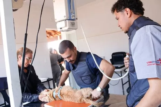 Mutirão de Castração de Cães e Gatos em Alfenas ocorre na próxima semana