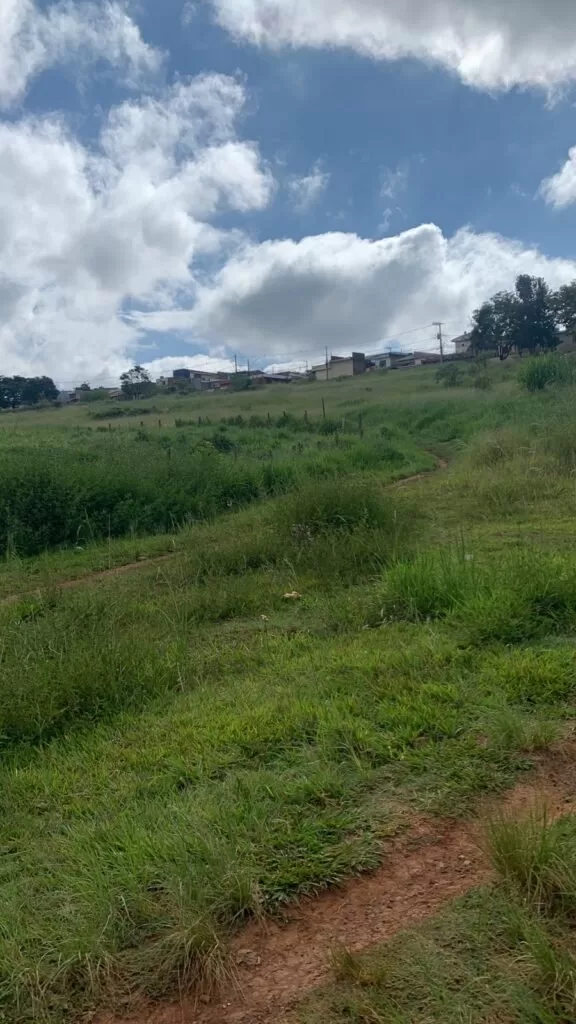 Moradores de Alfenas denunciam abandono e riscos em trecho conhecido como 'Pontinha'