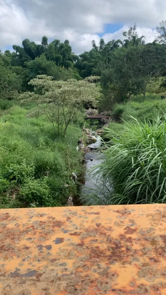 Moradores de Alfenas denunciam abandono e riscos em trecho conhecido como 'Pontinha'
