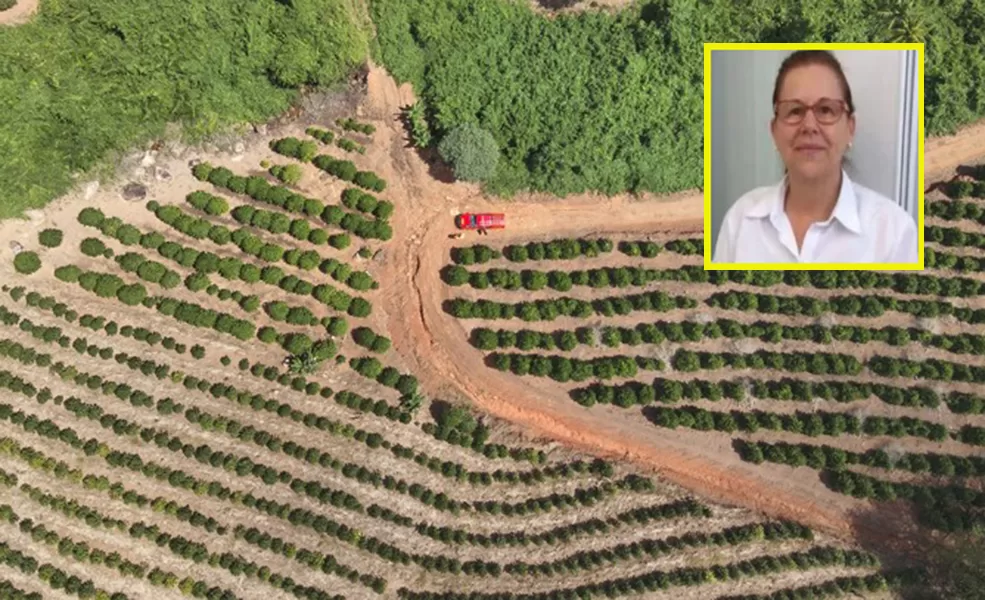 Investigação conclui: morte de idosa em Campestre não teve conotação criminosa