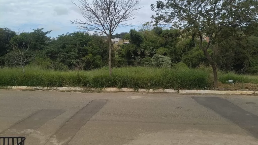 Moradores de Alfenas denunciam abandono de área verde e riscos à segurança