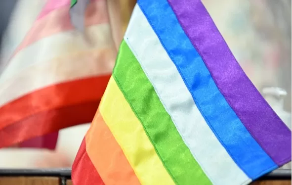 Movimento Gay de Alfenas será homenageado na Assembleia Legislativa de Minas Gerais