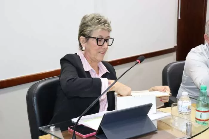 Alfenas Sob Investigação: Câmara Instaura CPI para Fiscalizar Transporte Coletivo e Contrato com Alfetur