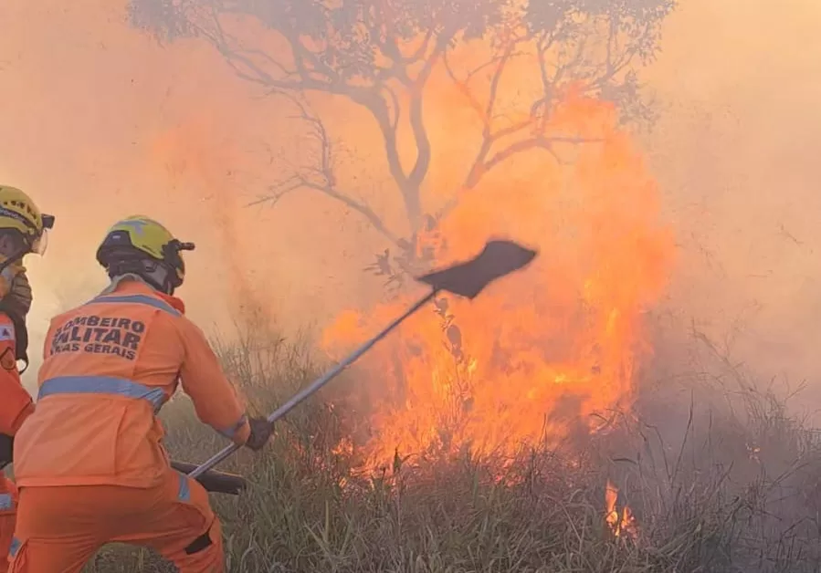 Incêndio em vegetação em Alfenas é controlado sem vítimas ou danos a residências