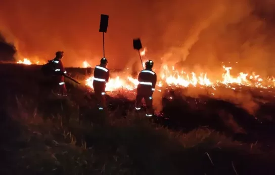 Alfenas aprova lei que proíbe queimadas e aumenta fiscalização contra incêndios