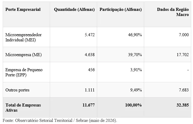 Micro e Pequenas Empresas São Pilar da Economia de Alfenas