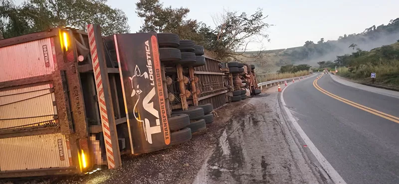 Acidente na MGC-491: caminhoneiro morre após tombamento de carreta carregada com bovinos