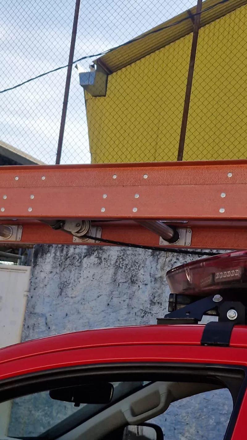 Bombeiros resgatam gato preso em telhado de escola municipal em Alfenas