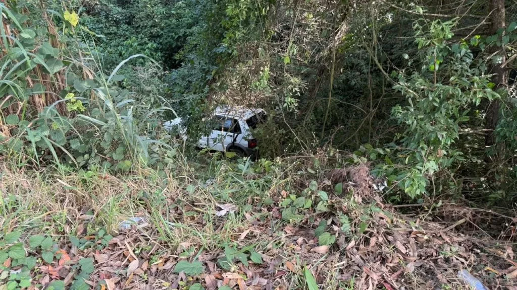 Jovem perde o controle após dormir ao volante e cai em ribanceira na AMG-1540, em Alfenas