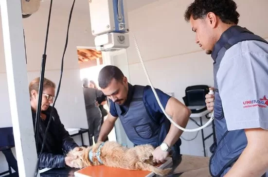 Prefeitura de Alfenas abre inscrições para 150 castrações gratuitas de cães e gatos