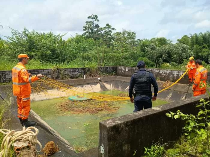 Bombeiros de Minas Gerais realizam resgates de animais em diferentes regiões do Sul do Estado