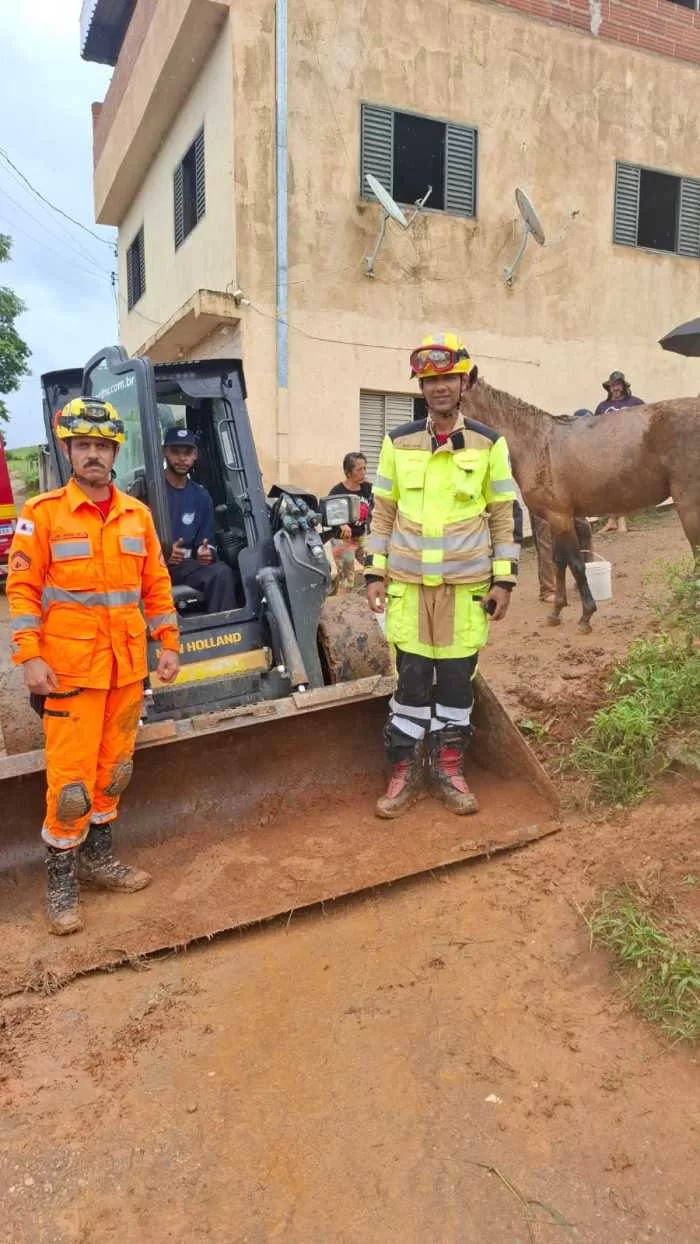 Bombeiros de Minas Gerais realizam resgates de animais em diferentes regiões do Sul do Estado