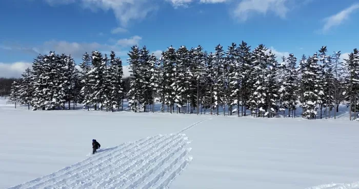 Land Art transforma paisagens naturais em obras de arte ao ar livre