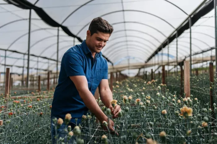 Primavera impulsiona mercado de flores e plantas ornamentais no Brasil