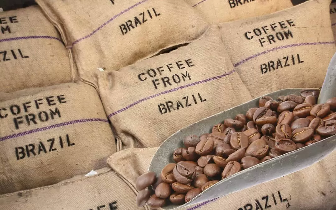Alfenas destaca-se como uma das maiores exportadoras de café do Brasil em 2024
